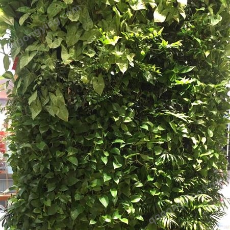 生态植物墙安装