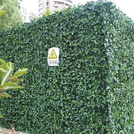 生态植物墙安装