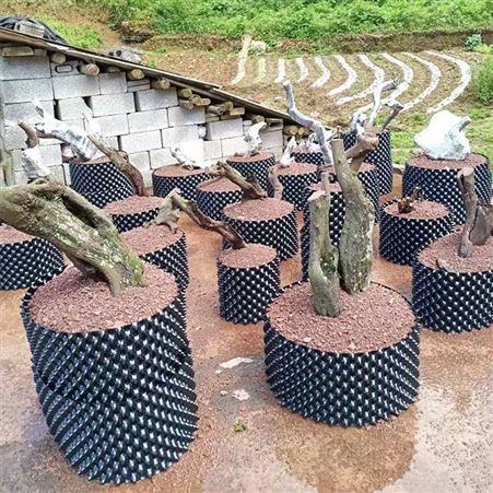 花园园艺控根器生产厂家 黑色pvc围树片 辉门多孔种植加厚控根器销往广西