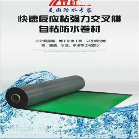 广州双虹防水新型防水卷材sbs卷材防水现货供应   欢迎