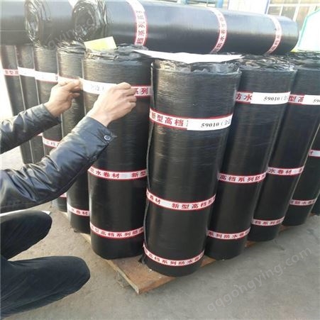 广州双虹防水新型防水卷材sbs卷材防水现货供应   欢迎