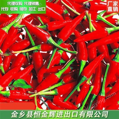 金乡辣椒代销 鲜辣椒代理加工 多种包装辣椒