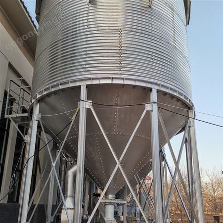 大型立式不锈钢储罐 散装粮食仓 钢结构 坚实耐用