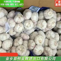 牡丹江杂交大蒜批发 蒜片加工厂 代理销售大蒜