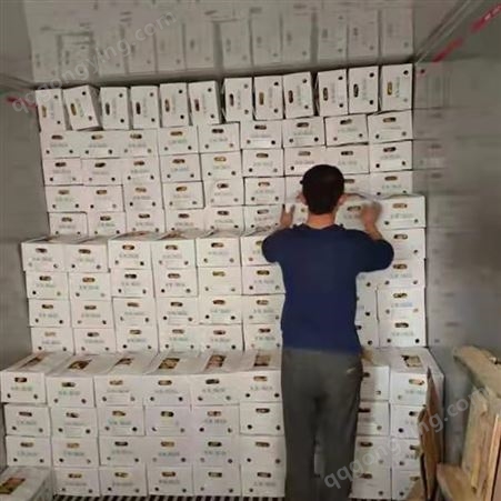 近期黄姜行情 价格分析 批发零售黄姜