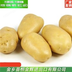 出口级土豆 土豆代理包装 批发土豆
