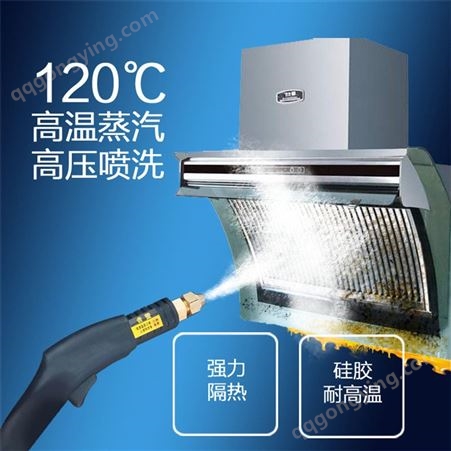高温蒸汽家电清洗机 高压喷洗家用空调清洗设备 厂家定制