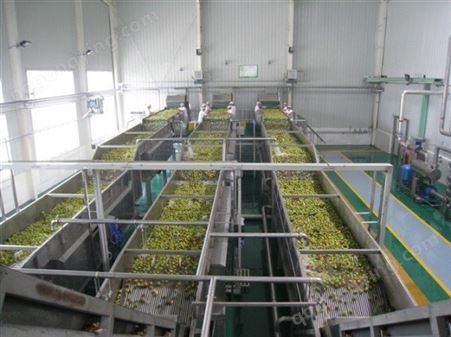 上海嘉备 剁椒生产加工设备 罐头生产加工设备 辣椒酱生产线设备