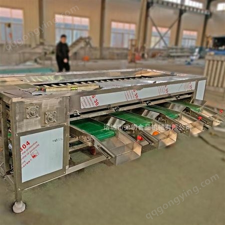 农贸产品分级机 土豆清洗分级机 地瓜红薯分级机 弗朗FJ-560高速稳定分级机