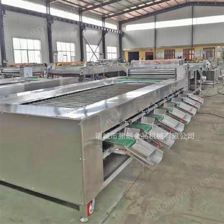农贸产品分级机 土豆清洗分级机 地瓜红薯分级机 弗朗FJ-560高速稳定分级机