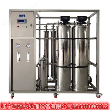 源泽水处理设备软化水设备 哈尔滨EDI超纯水生产厂SY1211