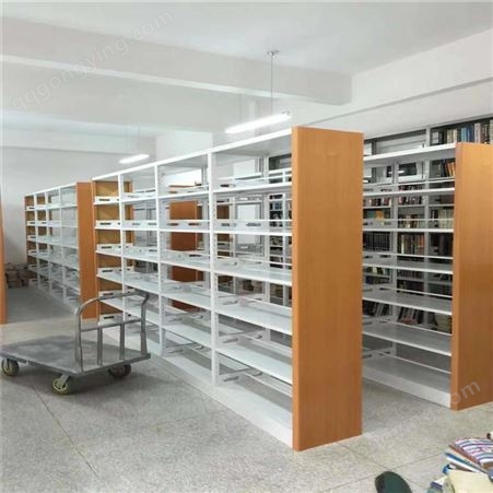 图书馆专用双面钢制书架 档案室资料架 放书的架子