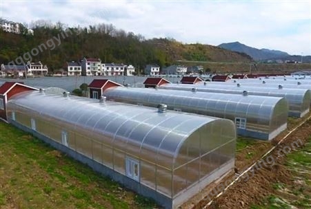 连栋智能玻璃温室 蔬菜花卉温室培育 保温好抗风雨