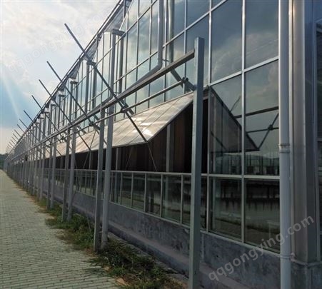 智能玻璃温室 智慧农业大棚 蔬菜花卉育苗 透光率好