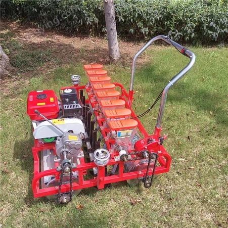 小型蔬菜播种机 手推式种子育苗种植机 四冲程汽油发动机