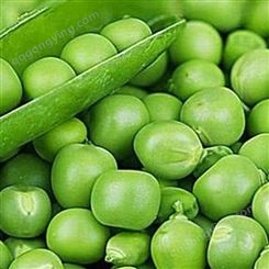 速冻青豆 原材料绿色蔬菜 脱水加工 产地直营一手货源