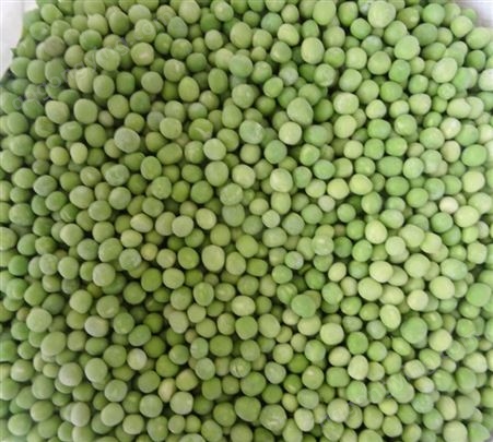 速冻青豆 原材料绿色蔬菜 脱水加工 产地直营一手货源