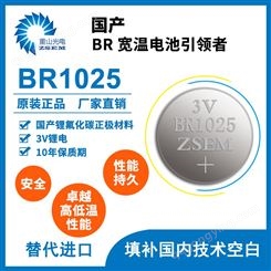 BR1025一次性锂氟化碳电池 高性能大容量石英手表 纽扣电池 