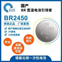 BR2450纽扣电池 替代cr2450 汽车胎压监测器内置传感器专用电池 耐高温125℃ 寿命十年