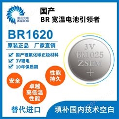 纽扣电池BR1620 一次性高温锂氟化碳扣式电池 大容量工业主板电池