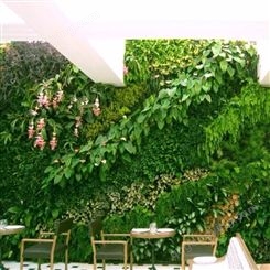 云南仿真植物墙门头形象墙假草坪背景墙绿化植物装饰绿色背景墙定制