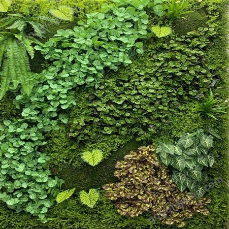 仿真植物墙 仿真草坪墙面装饰室内室外草皮 绿色配材绿化绿植墙植物墙