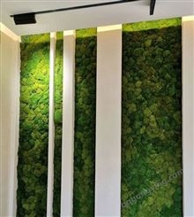 苔蘚墻 仿真苔蘚草坪 青苔草皮植物墻背景裝飾