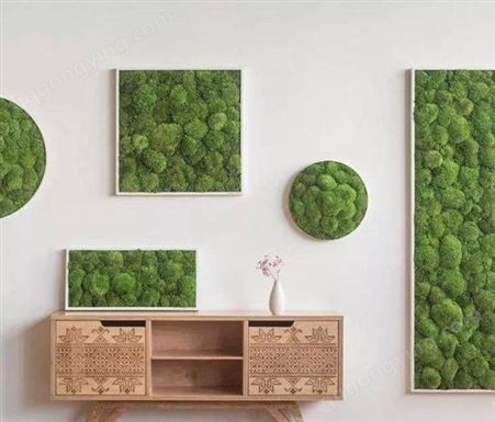 苔藓墙 仿真苔藓草坪 青苔草皮植物墙背景装饰
