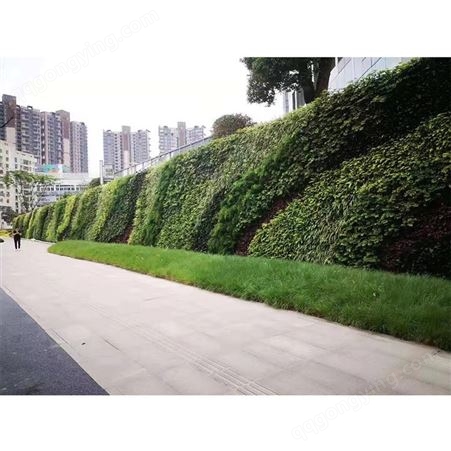 蚌埠垂直绿化真植物墙定制