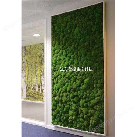 苔藓墙 苔藓草坪 定制假青苔苔藓造景 仿真苔藓墙