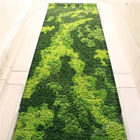 苔藓墙 仿真苔藓绿植墙青苔草坪室内景观背景墙植物墙微景观