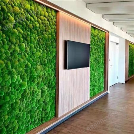 苔藓墙 仿真苔藓草坪 青苔草皮植物墙背景装饰