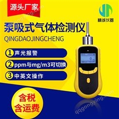 臭氧检测仪 臭氧气体浓度报警仪 便携式臭氧气体检测仪
