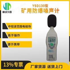 YSD130矿用本质安全型噪声检测仪 便携式噪声监测仪