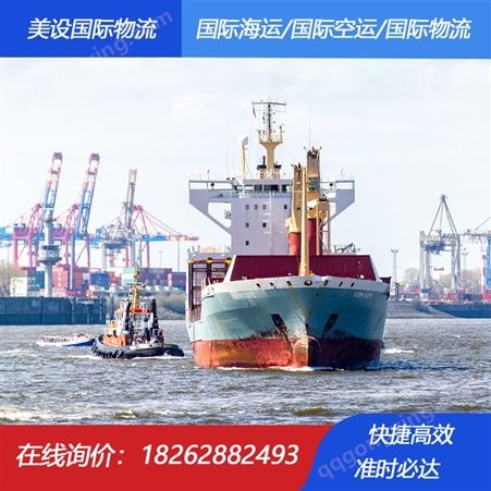 广州到诺福克海运 美设国际诺福克海运专线 海运速度快价格低