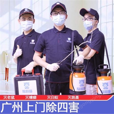 广州除死老鼠味 防蟑螂设施 灭蚊蝇活动方案 工程白蚁防治