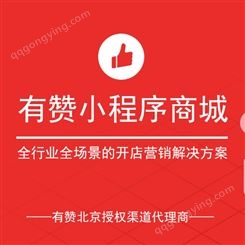 有赞代理商城 北京开通有赞小程序商城 dou音开店微信开店 有赞城开通