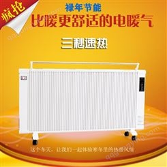 供暖设备 远红外对流式取暖器 供应煤改电电暖器 支持定制
