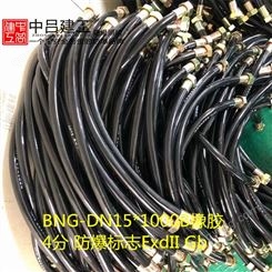 BNG-DN15*1000B防爆挠性连接管4分1米电缆穿线管G1/2防爆标志EXD