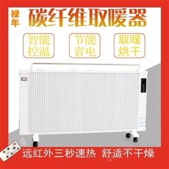 碳纤维取暖器 壁挂电加热器  煤改电项目电暖器 支持定制