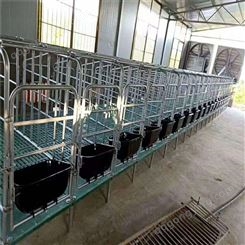 母猪限位栏定位栏母猪产床保育两用养猪场产床母猪设备漏粪板猪用