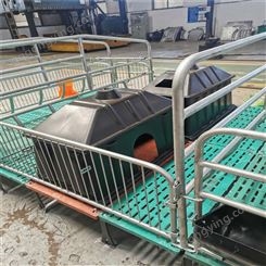 母猪产床高配置复合板双体产床单体床养猪场设备