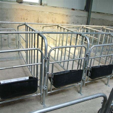 加工 多猪位猪位栏 定制 带底定位栏 带槽定位栏