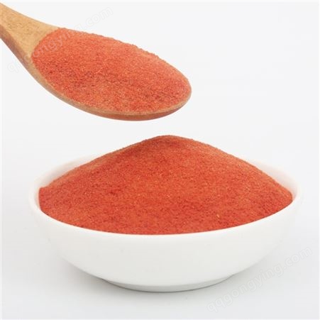 热风干燥AD番茄粉烘焙糕点中式点心方便食品配料