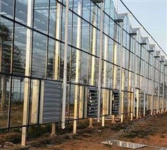 V96玻璃温室 骨架稳定 花卉蔬菜种植搭建 保温防风 鑫利丰
