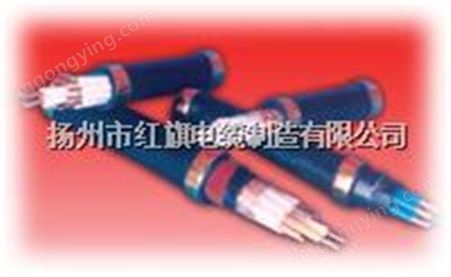 DDZ-KVV DDZ-KVVP2 ，DDZKVVP22,DDZ-KVVP2-22，DDZ-VV,低烟低卤阻燃电缆