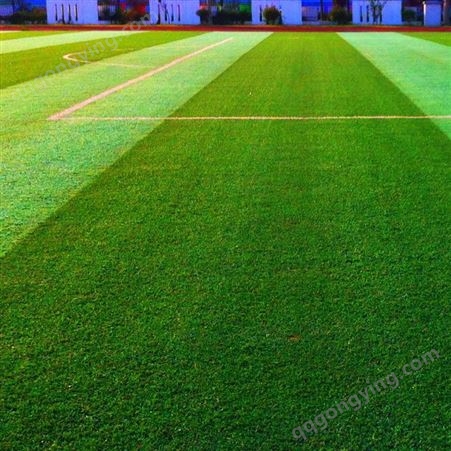 按需供应 围挡仿真草坪 楼顶装饰假草坪 幼儿园地毯草坪 可定制
