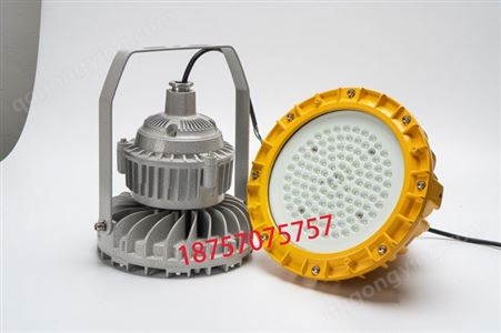 电厂免维护LED防爆灯出厂价 50W-150W