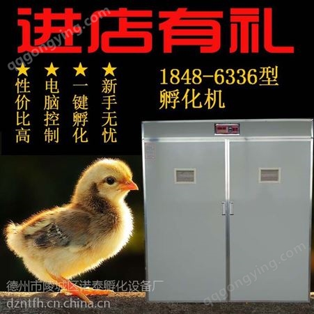 NT-3168诺泰孵化孵化机中型孵化设备孵化器全自动孵化机3168枚孵化箱家用孵化机