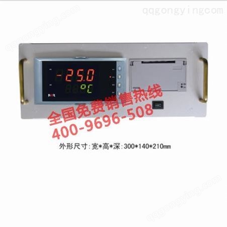 香港虹润NHR-5910台式打印控制仪